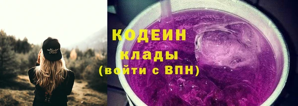 прущие грибы Гусиноозёрск