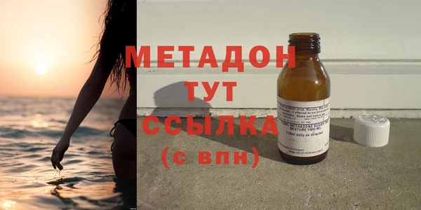 прущие грибы Гусиноозёрск
