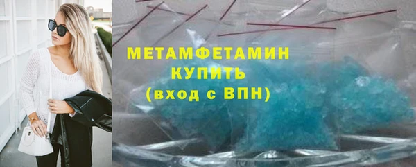 прущие грибы Гусиноозёрск