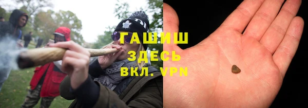 прущие грибы Гусиноозёрск