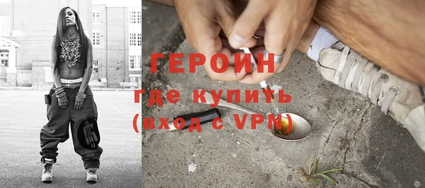 прущие грибы Гусиноозёрск