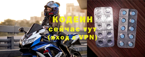 прущие грибы Гусиноозёрск