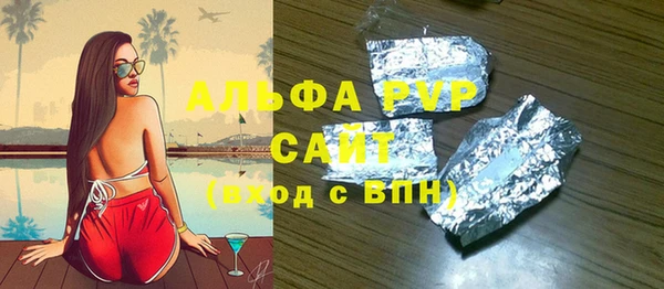 прущие грибы Гусиноозёрск
