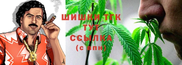 Альфа ПВП Гусь-Хрустальный