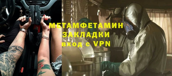 прущие грибы Гусиноозёрск