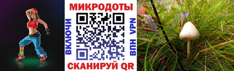 Купить где  Обоянь  Галлюциногенные грибы мухоморы 